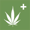 Medical hemp icon