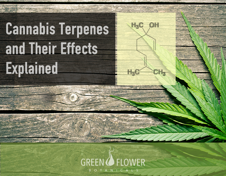 Cannabis terpense and their effects explained